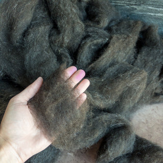 Montana Icelandic Lamb Wool Roving - Black 16oz - Copia Cove