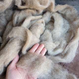 Montana Icelandic Lamb Wool Roving - Brown 16oz - Copia Cove