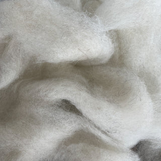 Montana Icelandic Lamb Wool Roving - Eggshell 8oz - Copia Cove