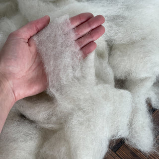 Montana Icelandic Lamb Wool Roving - Eggshell 8oz - Copia Cove