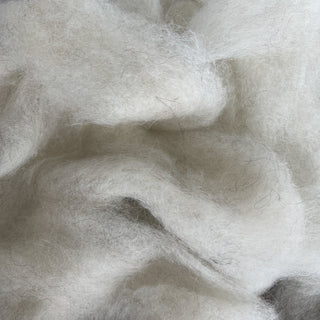 Icelandic Lamb Wool Roving Eggshell 16oz - Copia Cove