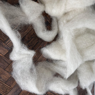 Icelandic Lamb Wool Roving Eggshell 16oz - Copia Cove