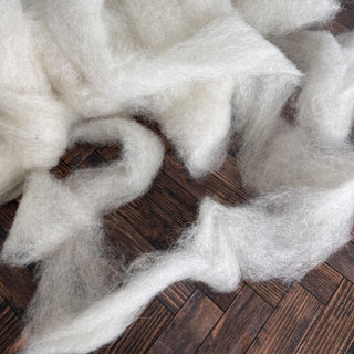 Icelandic Lamb Wool Roving Eggshell 16oz - Copia Cove