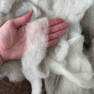 Icelandic Lamb Wool Roving Light Oatmeal 16oz - Copia Cove
