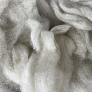 Icelandic Lamb Wool Roving Light Oatmeal 8oz - Copia Cove