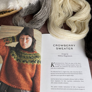 MDK Field Guide No. 26 MOSS by Modern Daily Knitting - Hélène Magnússon - Five knitting designs for Einband and Plotulopi - Copia Cove