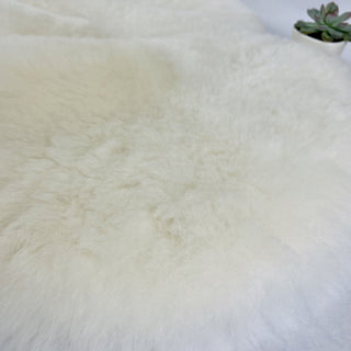 Premium Icelandic Sheepskin Rug Natural White Short Wool - Copia Cove Icelandic Sheep & Wool