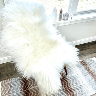 Premium Icelandic Sheepskin Rug White Long Wool - Copia Cove Icelandic Sheep & Wool