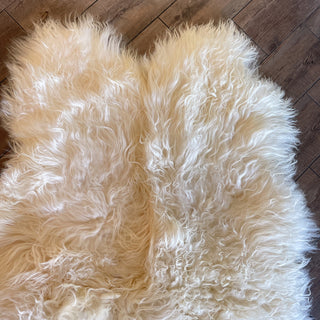 Raven's Harvest XL Skinnfell Throw Blanket - Four-Pelt Icelandic Sheepskin Art - Copia Cove
