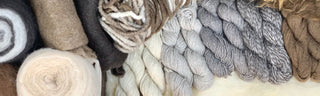 Icelandic Wool Fiber | Copia Cove Icelandic Sheep & Wool