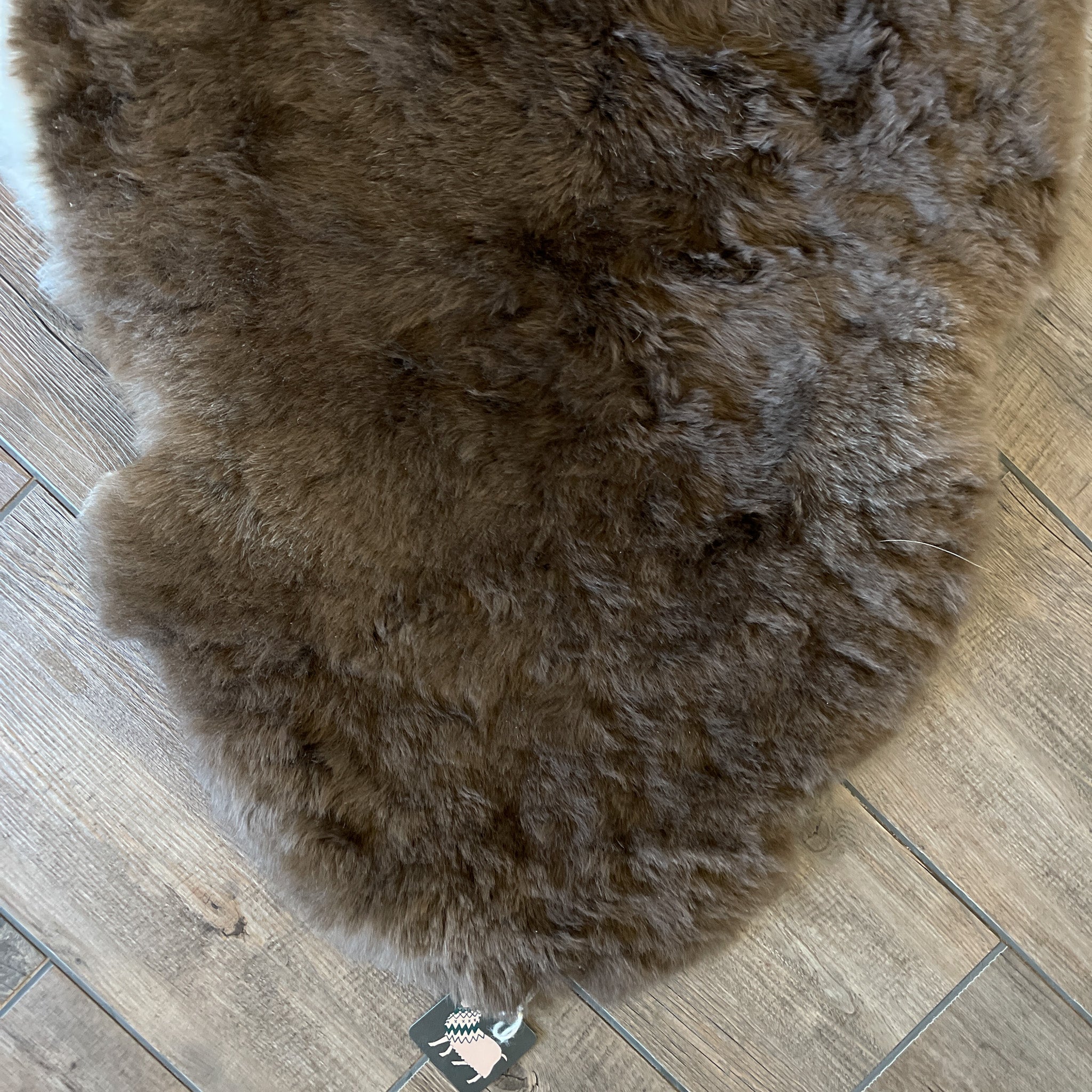 Giant Brown Mouflon Dyed Genuine Natural Sheepskin Rugs Exclusive