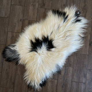 Premium Icelandic Sheepskin Rug Extra Large - Black Gray Spotted Long Wool