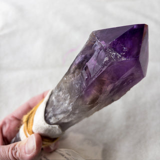 Dragon's Tooth Amethyst Raw Root Crystal Point Gemstone "B" - Copia Cove