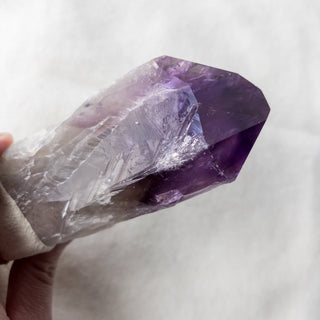 Dragon's Tooth Amethyst Raw Root Crystal Point Gemstone "B" - Copia Cove