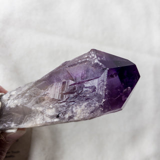 Dragon's Tooth Amethyst Raw Root Crystal Point Gemstone "B" - Copia Cove