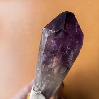 Dragon's Tooth Amethyst Raw Root Crystal Point Gemstone "B" - Copia Cove