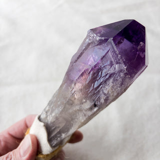 Dragon's Tooth Amethyst Raw Root Crystal Point Gemstone "B" - Copia Cove