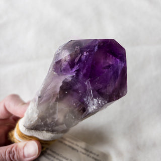 Dragon's Tooth Amethyst Raw Root Crystal Point Gemstone "B" - Copia Cove