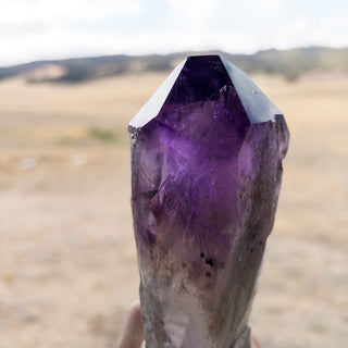 Dragon's Tooth Amethyst Raw Root Crystal Point Gemstone "B" - Copia Cove