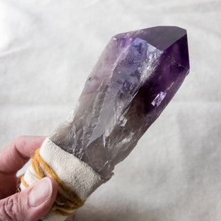 Dragon's Tooth Amethyst Raw Root Crystal Point Gemstone "B" - Copia Cove