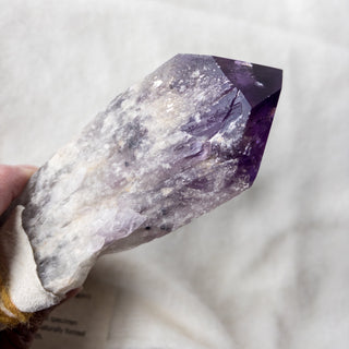 Dragon's Tooth Amethyst Raw Root Crystal Point Gemstone "B" - Copia Cove