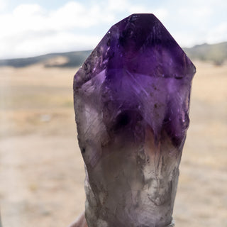 Dragon's Tooth Amethyst Raw Root Crystal Point Gemstone "B" - Copia Cove