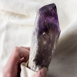 LARGE Dragon's Tooth Amethyst Raw Root Crystal Point Gemstone "D" - Copia Cove