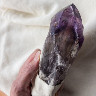 LARGE Dragon's Tooth Amethyst Raw Root Crystal Point Gemstone "D" - Copia Cove