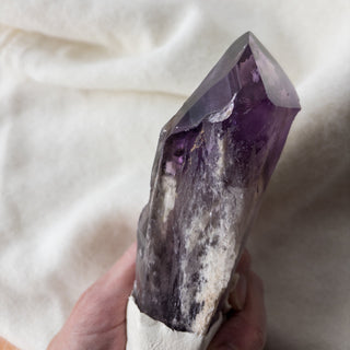 LARGE Dragon's Tooth Amethyst Raw Root Crystal Point Gemstone "D" - Copia Cove