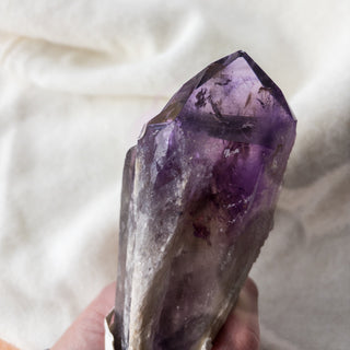 LARGE Dragon's Tooth Amethyst Raw Root Crystal Point Gemstone "D" - Copia Cove