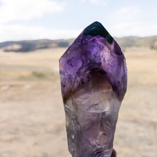 LARGE Dragon's Tooth Amethyst Raw Root Crystal Point Gemstone "E" - Copia Cove