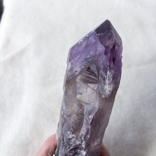 LARGE Dragon's Tooth Amethyst Raw Root Crystal Point Gemstone "E" - Copia Cove