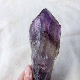 LARGE Dragon's Tooth Amethyst Raw Root Crystal Point Gemstone "E" - Copia Cove