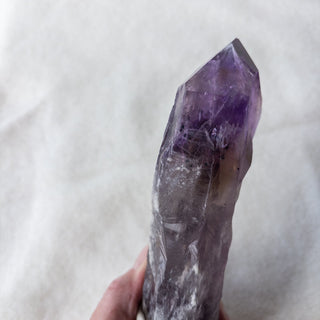 LARGE Dragon's Tooth Amethyst Raw Root Crystal Point Gemstone "E" - Copia Cove