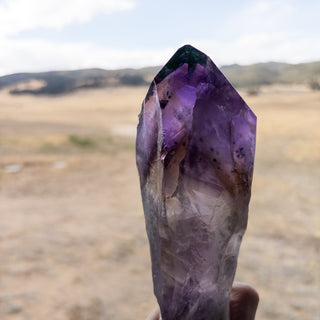 LARGE Dragon's Tooth Amethyst Raw Root Crystal Point Gemstone "E" - Copia Cove