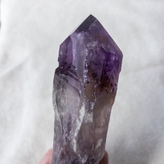 LARGE Dragon's Tooth Amethyst Raw Root Crystal Point Gemstone "E" - Copia Cove