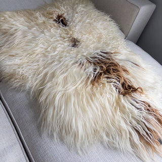 Large Premium Icelandic Sheepskin Rug - Brown Spotted Curly Long Wool - Copia Cove