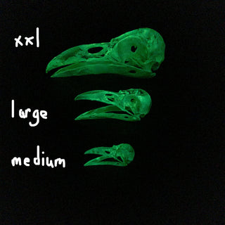 Large Raven Skull Replica Glow in the Dark with Opened Mouth - Copia Cove