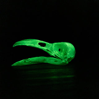 Large Raven Skull Replica Glow in the Dark with Opened Mouth - Copia Cove