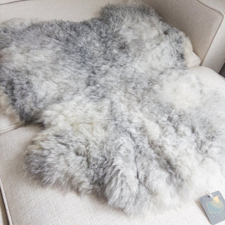 Medium Premium Icelandic Sheepskin Rug - Natural Gray Short Wool Pelt - Copia Cove