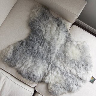 Medium Premium Icelandic Sheepskin Rug - Natural Gray Short Wool Pelt - Copia Cove