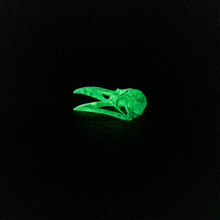 Medium Raven Skull Replica Glow in the Dark with Opened Mouth - Copia Cove