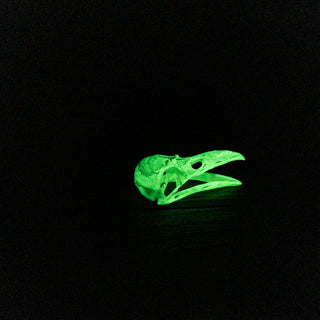 Medium Raven Skull Replica Glow in the Dark with Opened Mouth - Copia Cove