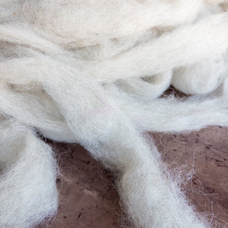 Montana Icelandic Lamb Wool Roving Eggshell 16oz - Copia Cove