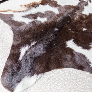 Premium Goat Hide Spotted Brown and White "C" - Copia Cove