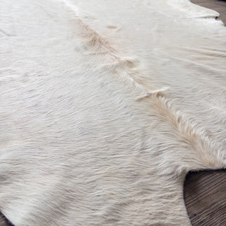 Premium Jumbo Cowhide Champagne "C" - Copia Cove