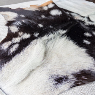 Premium Large Goat Hide Black and White "D" - Copia Cove