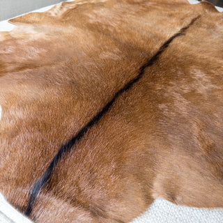 Premium Large Goat Hide Brown "E" - Copia Cove