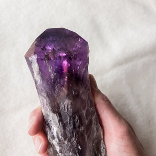 XL Dragon's Tooth Amethyst Raw Root Crystal Point Gemstone "A" - Copia Cove