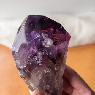 XL Dragon's Tooth Amethyst Raw Root Crystal Point Gemstone "A" - Copia Cove